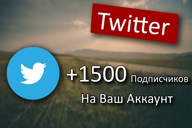 1700+ подписчиков в ваш аккаунт Twitter