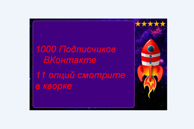 1000 Подписчиков Вконтакте 11 опций смотрите в услуге