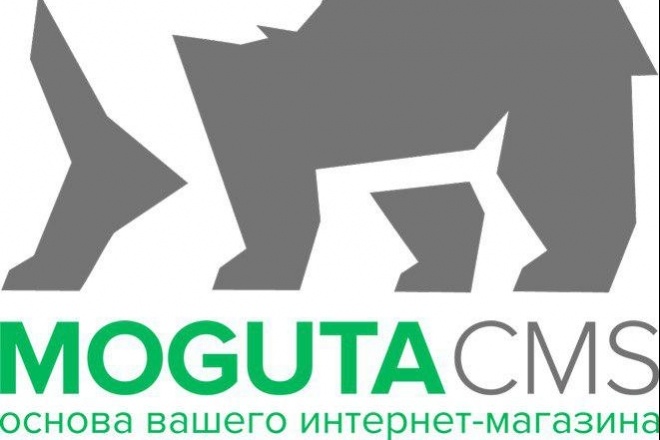 Создание качественного интернет-магазина
