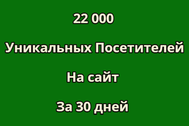 22000 уникальных посетителей на сайт за 30 дней