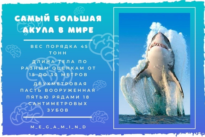 Оформлю посты в социальных сетях