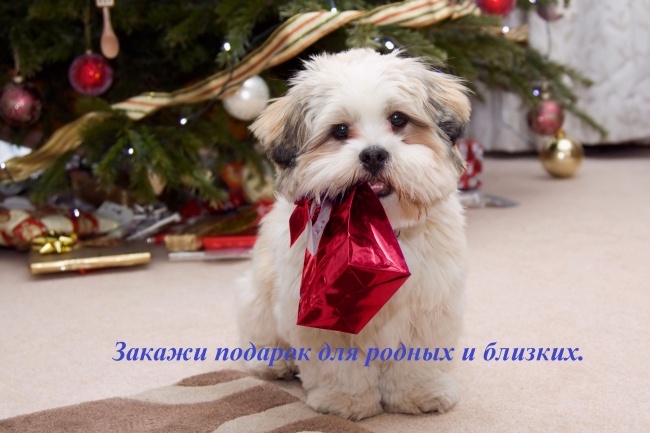Оригинальное слайд-шоу из Ваших фотографий