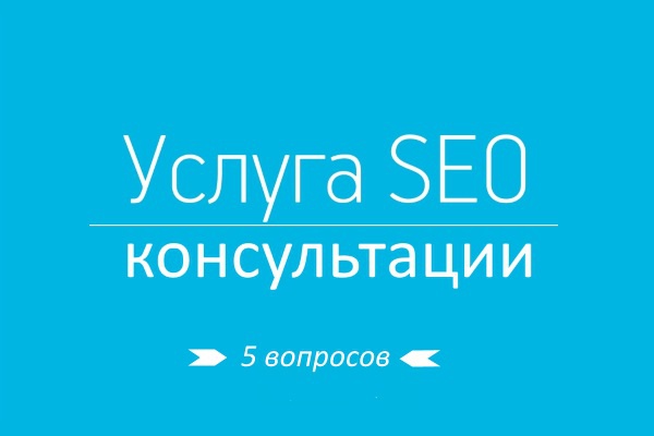 Проф.консультация по SEO