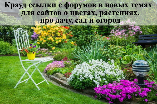 15 крауд ссылок с форумов в ветках растения, цветы, сад, дача, огород
