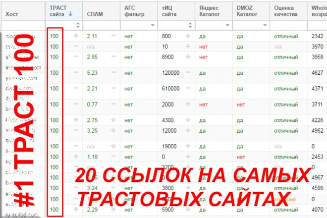 Размещение 20 вечных трастовых ссылок