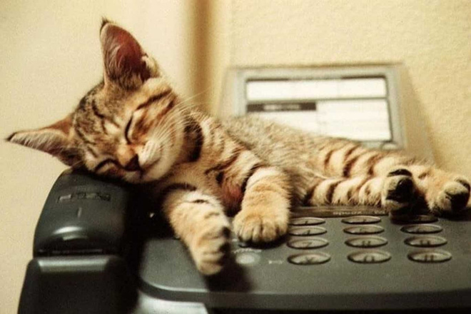 Голосовые приветствия, автоответчики, IVR