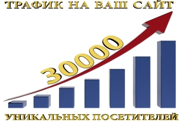 1000 уникальных посетителе в течение 1 месяца
