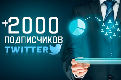 2000 живых подписчиков в Twitter
