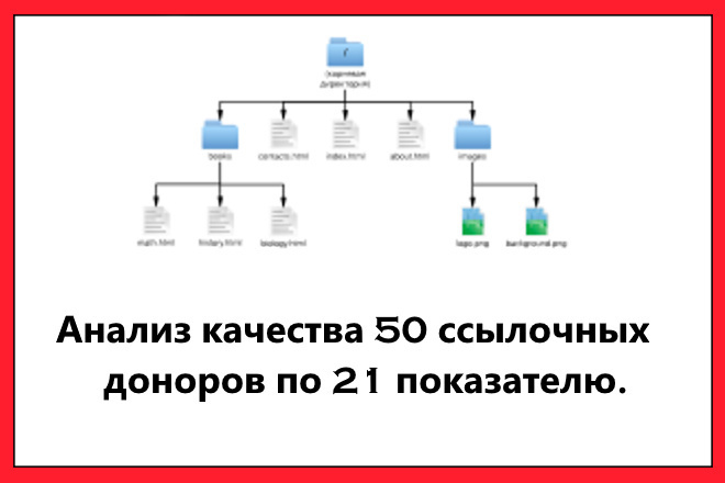 Анализ качества ссылок. Полный отчет по 50 ссылкам, 21 показатель