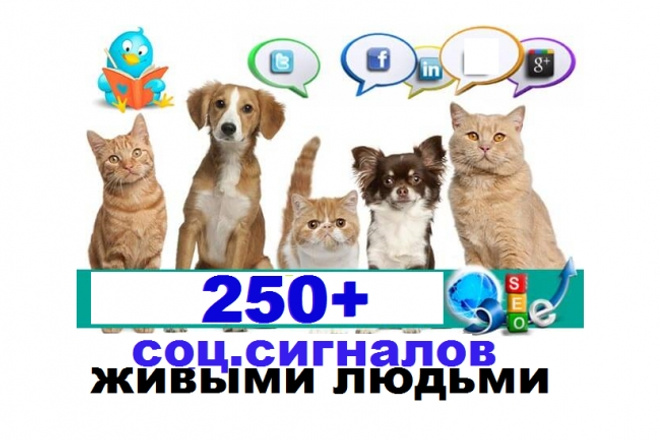 250 соц. сигналов с вашего сайта живыми людьми