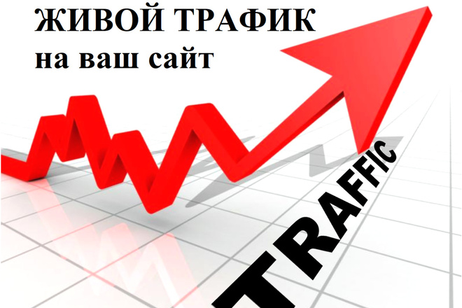 Живой трафик из поиска на Ваш сайт