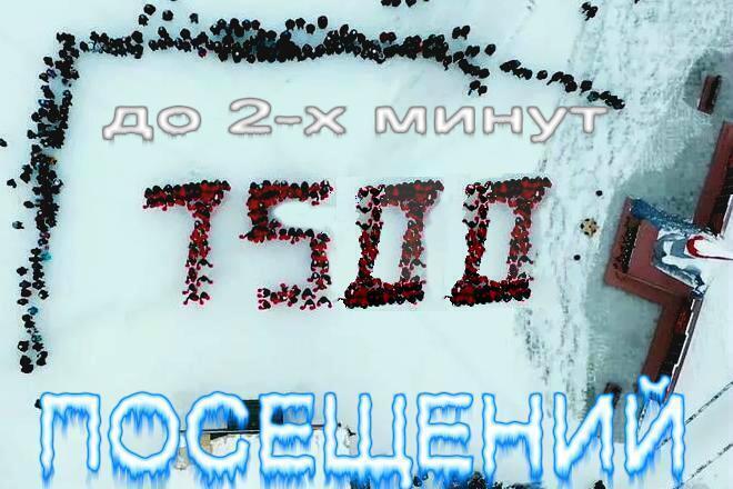 Организую 7500 Посещений около 2х минут на каждое
