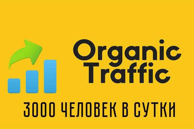 Трафик на сайт от 3000 человек в сутки