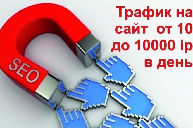 Трафик на сайт до 10000 пользователей. Быстро качественно