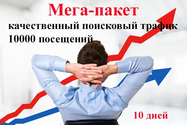 Качественный поисковый трафик 100 в сутки с Меgа-параметрами
