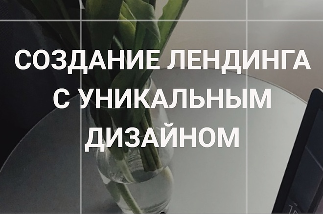 Создание и разработка дизайна лендинга