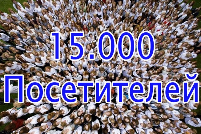 15 000 уникальных посетителей на сайт с поисковых систем