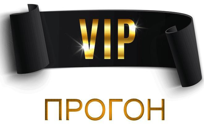 VIP Прогон