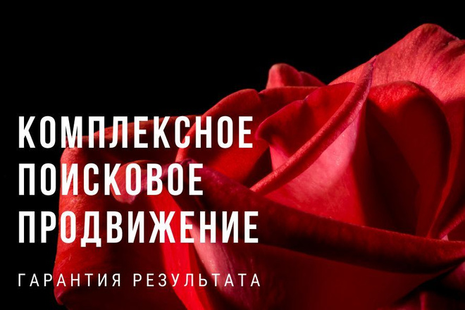 Комплексное продвижение сайта. Увеличение посещаемости гарантировано