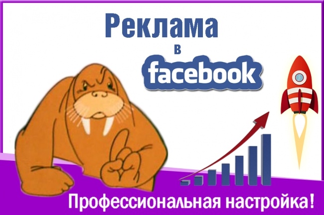 Профессионально настрою таргетированную рекламу в Facebook