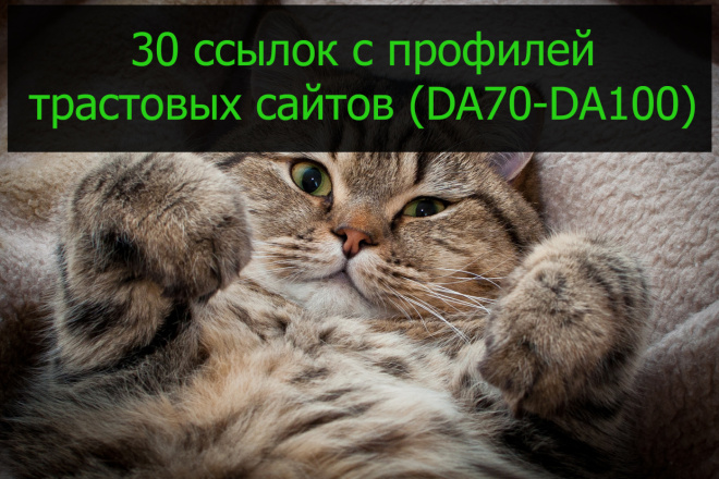 Размещу 30 ссылок с сайтов известных брендов с DA70-100