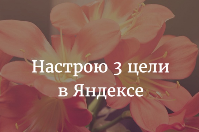 Настрою цели в Яндекс Директе