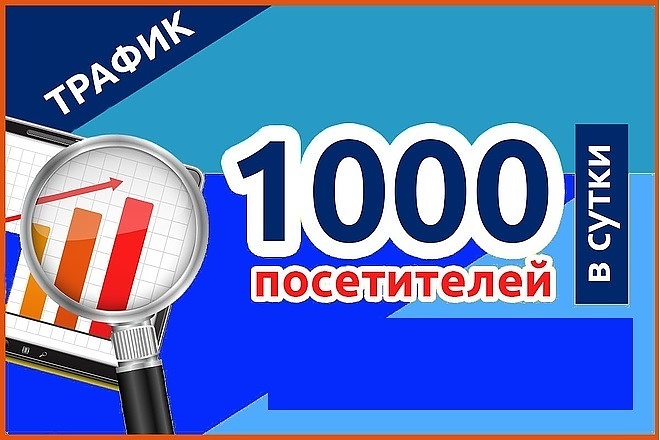 1000 посещений за 1 день
