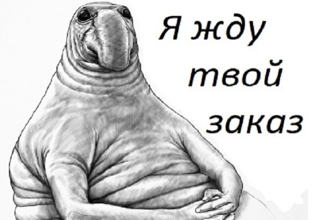 Соберу ядро сайта СЯ, подскажу по оптимизации сайта, настройке директа