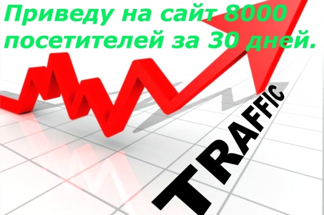 Приведу на сайт 8000 посетителей за 30 дней