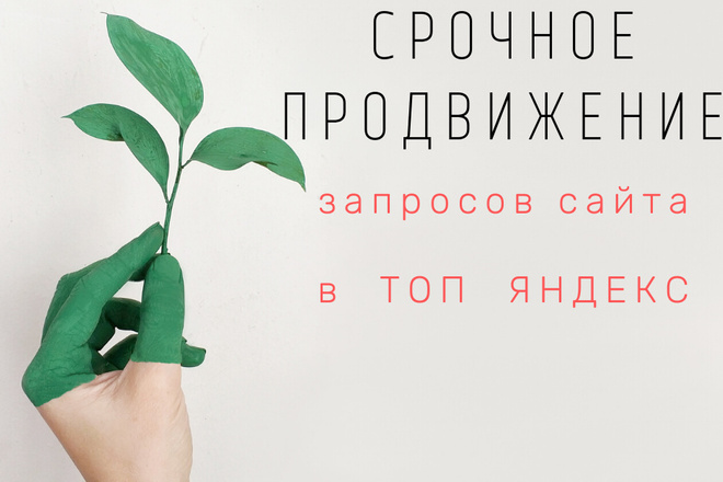 Cрочное быстрое продвижение запросов сайта и вывод сайта в топ Яндекс