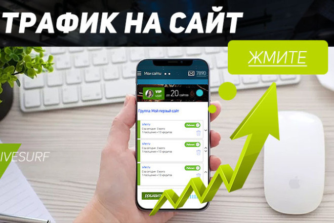 Трафик на сайт - 1000 посетителей за денй
