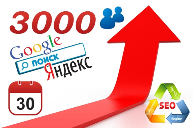 Качественный поисковый трафик от 80 до 100 в сутки целый месяц