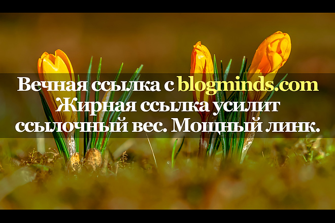 Мощная ссылка с сайта blogminds.com