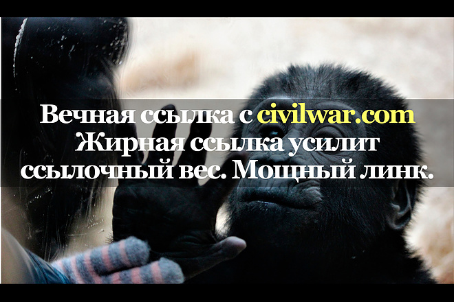 Крутая ссылка с площадки civilwar.com
