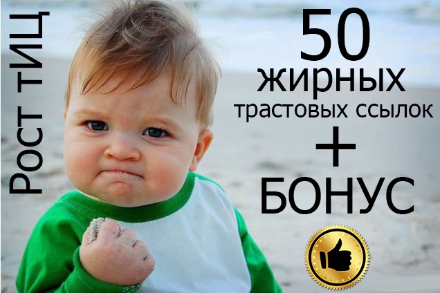 50 жирных вечных ссылок с трастовых сайтов с Высоким ТИЦ + бонус 3