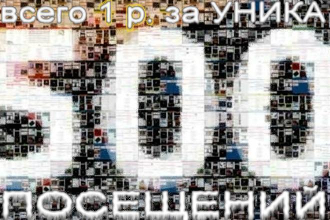 Организую 500 посещений до 2х минут каждое