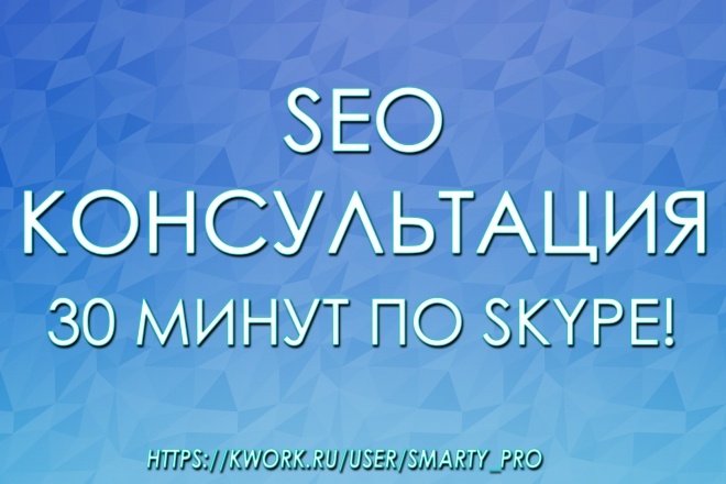 SEO консультация по Skype понятным языком от профессионала 30 минут