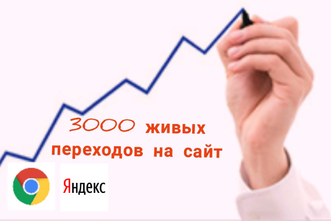 Трафик сайта 3000 живых переходов на сайт