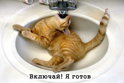 Напишу описание для любых фото