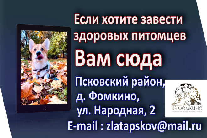 Видеопрезентации