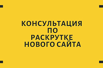 Консультация по раскрутке нового сайта