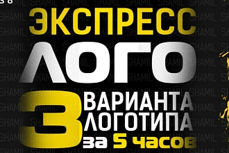Я представляю вам 3 варианта логотипа