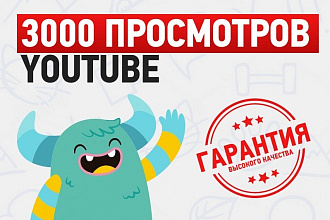 3000 просмотров видео на YouTube