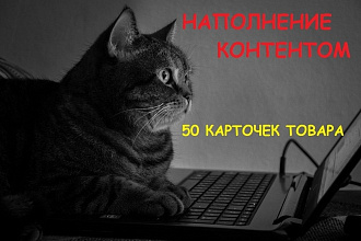 Грамотно и оперативно заполним карточки товара
