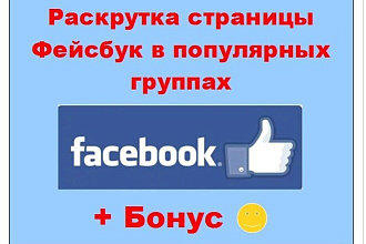 Раскрутка страницы Фейсбук - Реклама в крупных популярных сообществах