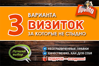 Разработаю 3 варианта визитки