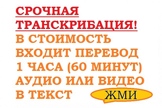 Транскрибация, перевод из аудио в текст, перевод из видео в текст