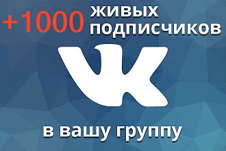 Добавление подписчиков в ВКонтакте