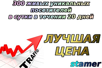 300 живых уникальных посетителей в сути в течение 20 дней