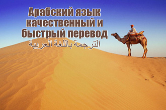 Перевод с русского языка на арабский